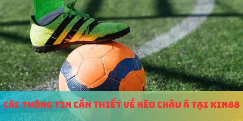 Các thông tin cần thiết về kèo châu Á tại Xin88
