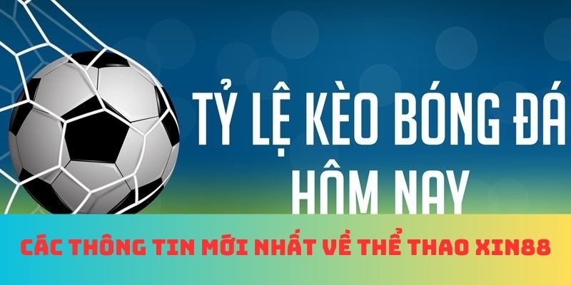 Điểm qua các thông tin không thể thiếu về thể thao XIN88