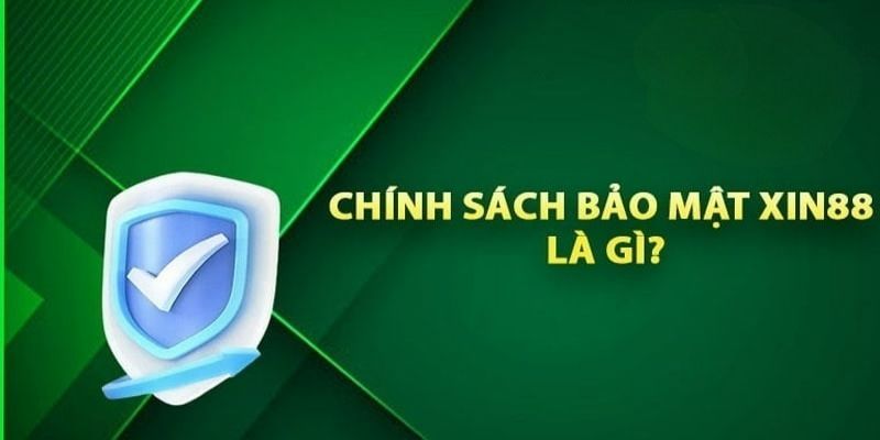 Chính sách điều khoản của nhà cái