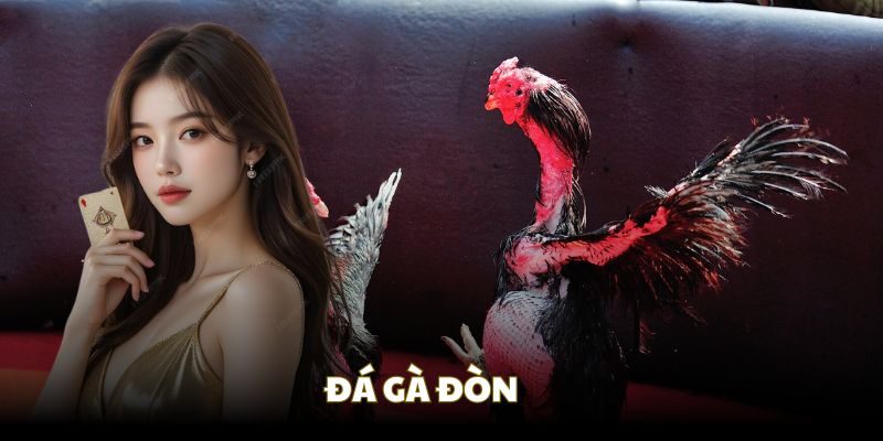 Chọi gà đòn phù hợp cho ai muốn trải nghiệm đá gà thuần túy