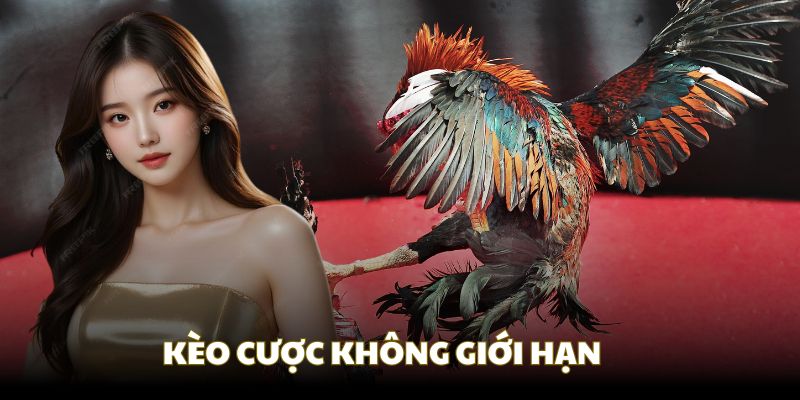 Đá gà Xin88 cho phép bạn truy cập các trận đấu bất tận