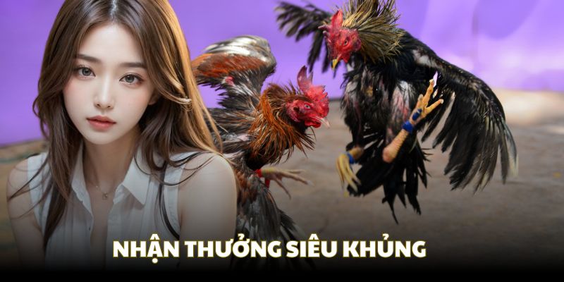 Luôn có các phần thưởng hấp dẫn tại Xin88