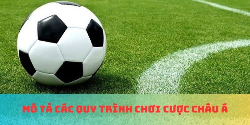 Mô tả các quy trình chơi cược châu Á