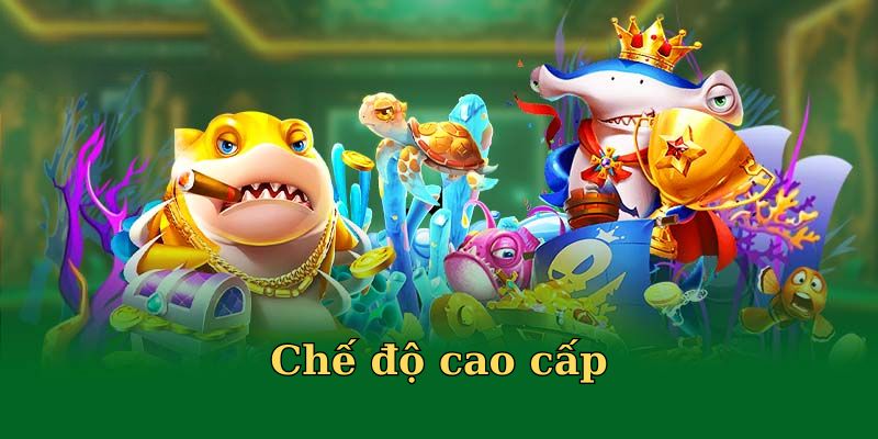 Đua top xếp hạng, ăn quà khủng