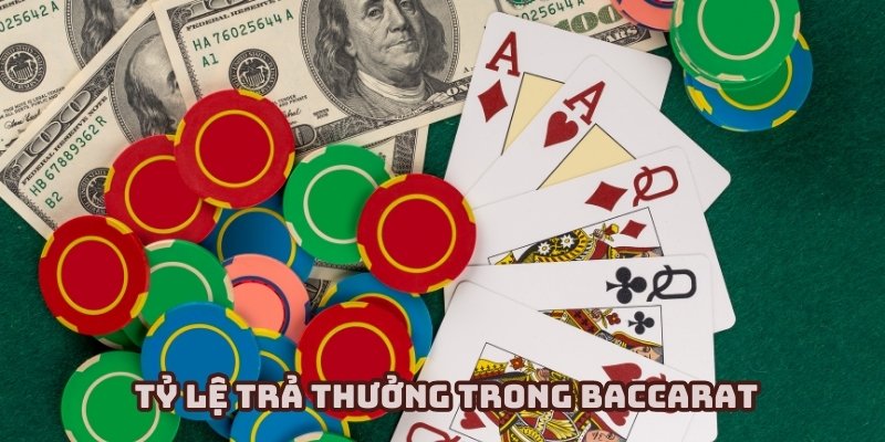 Tỷ lệ cao hàng đầu thị trường được cộng đồng ưa thích
